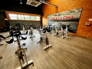 AFE GYM