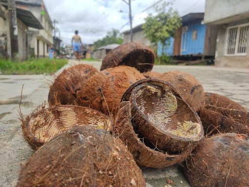 Manila Guapi Artesanías