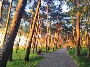 Park "Pinery"