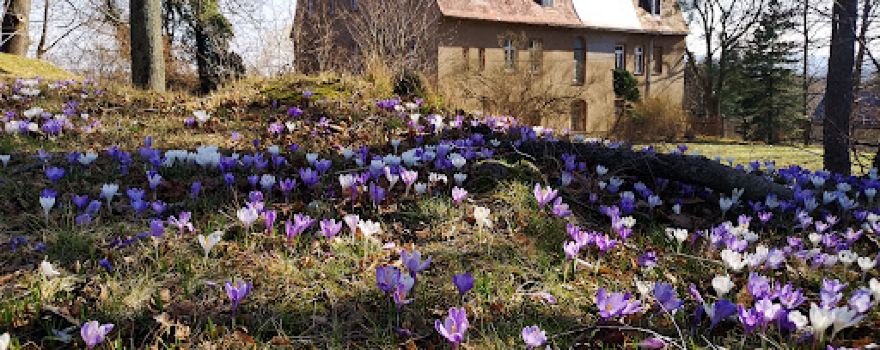 Schloss Kreckwitz