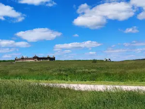 Кудыкина гора