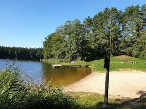 Goła Zośka