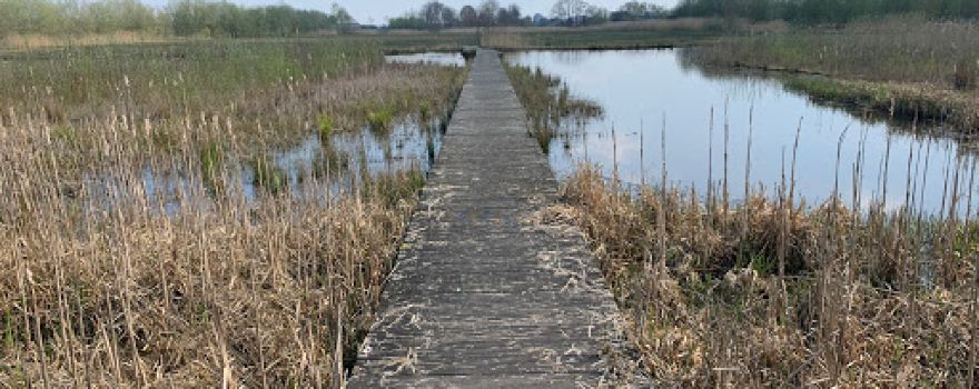 De Schammer