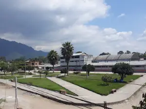 Parque Los Olivos