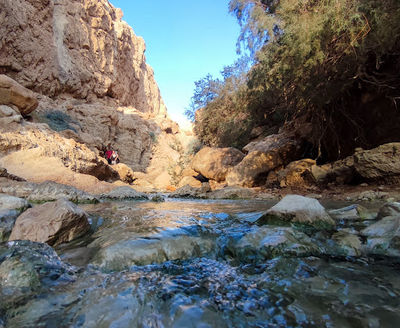 Wadi Bokek