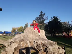 Paseo Oscar lucero