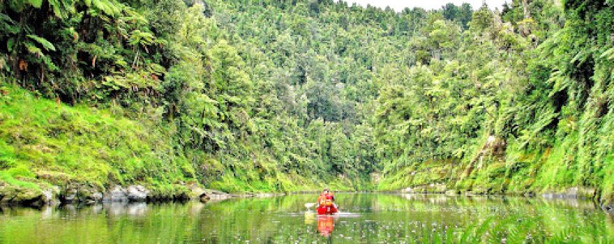 Whanganui River Canoes