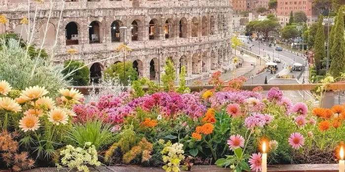 Aroma image 1
