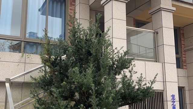 Dragon Spring 78-Degree Sulfur Hot Spring