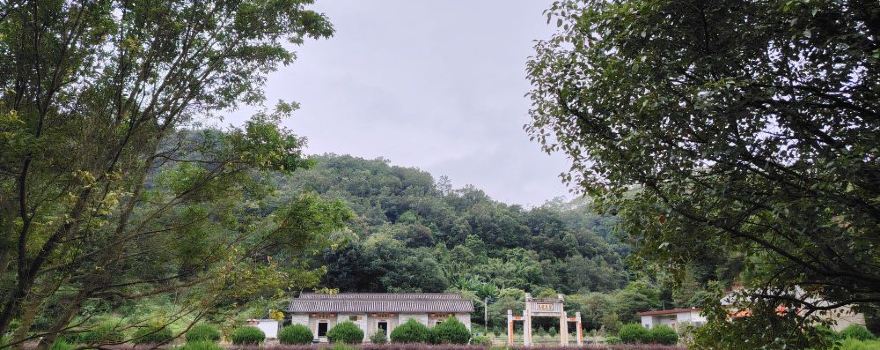 chen jia ci tang