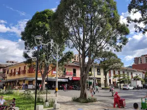 Caldas Park