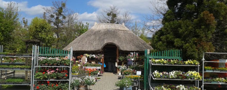 Móri Flora Bt.