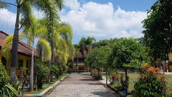 BROMO TOUR - Bromo Ijen Tour Packages & Transport