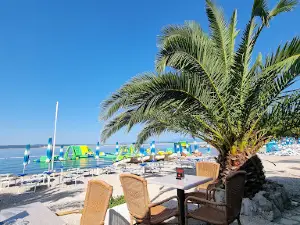 Beach Omorika