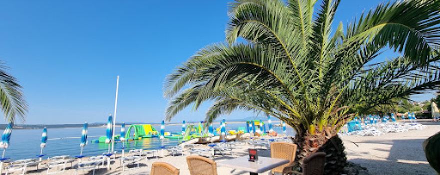 Beach Omorika