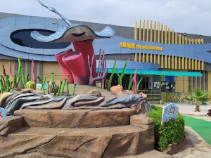 Shark The Water World