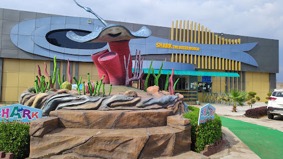 Shark The Waterworld