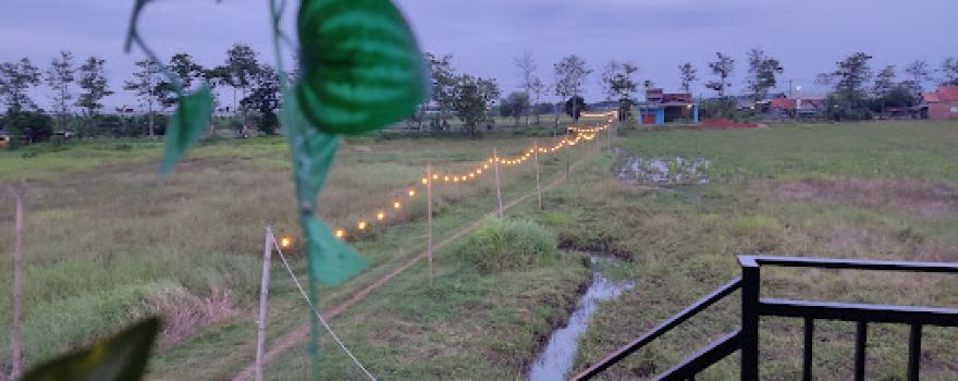 Lapangan Olahraga Ds. Purwodadi