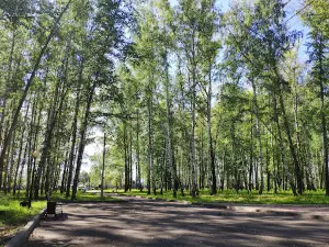 Park 40 Let Oktyabrya