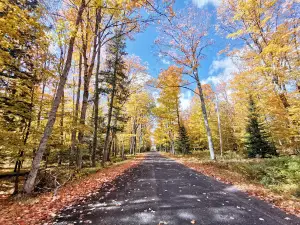 Crystal Falls State Forest Area