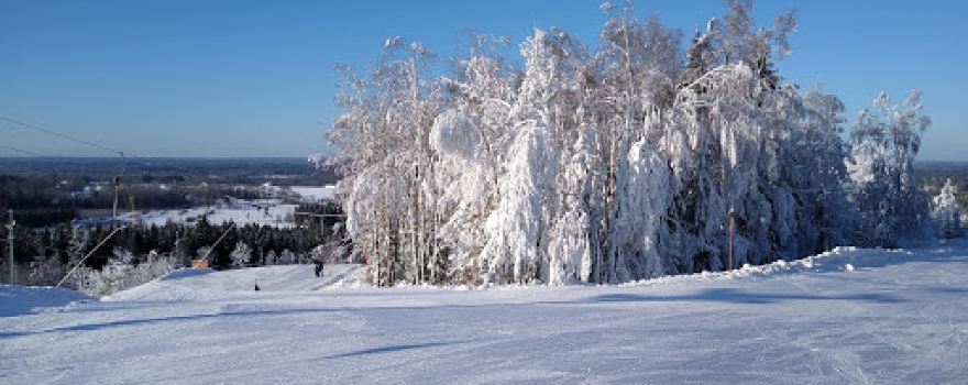 Hanaslövbacken