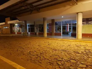 Terminal Montecarlo