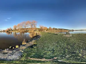 Lake Waihola Domain
