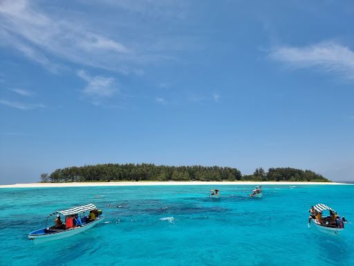 Mnemba Island