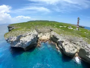 Tortuga