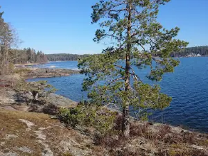 Kycklingleden