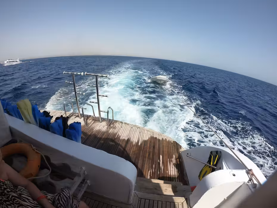 Flüge ${{cityDName}} Marsa Alam