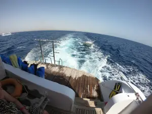 Dolphin House - Sha'ab Samadai Reef