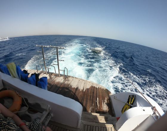 阿萊姆港 自由行套票