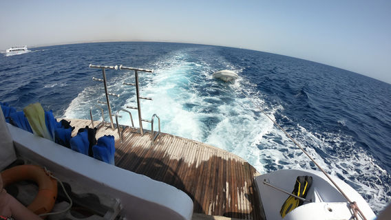 Dolphin House - Sha'ab Samadai Reef