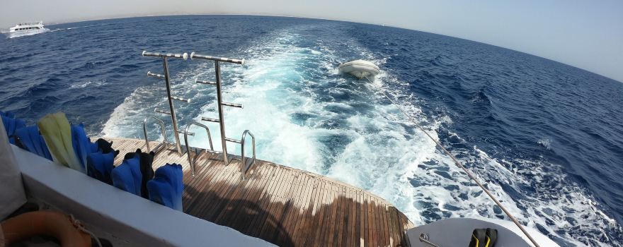 Dolphin House - Sha'ab Samadai Reef
