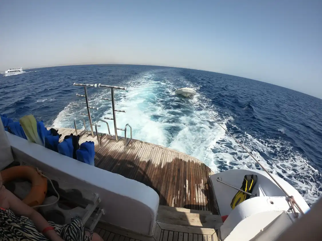 Hotels near Dolphin House - Sha'ab Samadai Reef