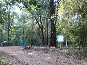 Bhadra Wildlife Sanctuary