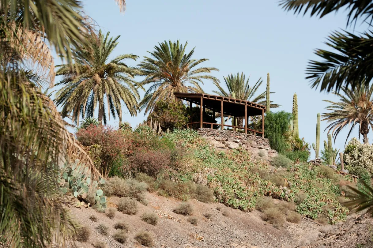 3_Fuerteventura Botanical Garden