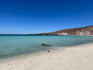 Playa El Tecolote (Tecolote Beach)