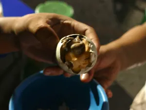 Roxas Night Market Davao