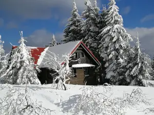 Zieleniec SKI Arena