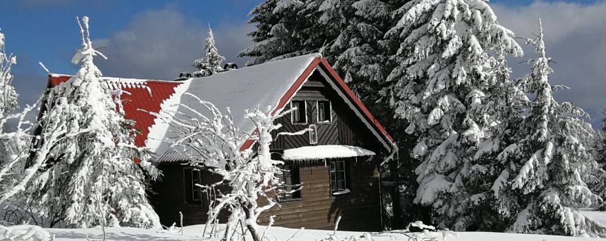 Zieleniec SKI Arena
