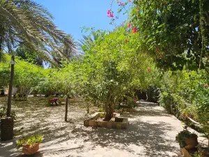Kasbah of Tiout
