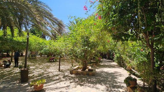 Kasbah of Tiout