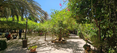 Tiout Kasbah