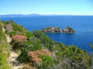 Parc national de Port-Cros