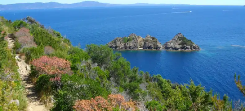 Hotels in Giens