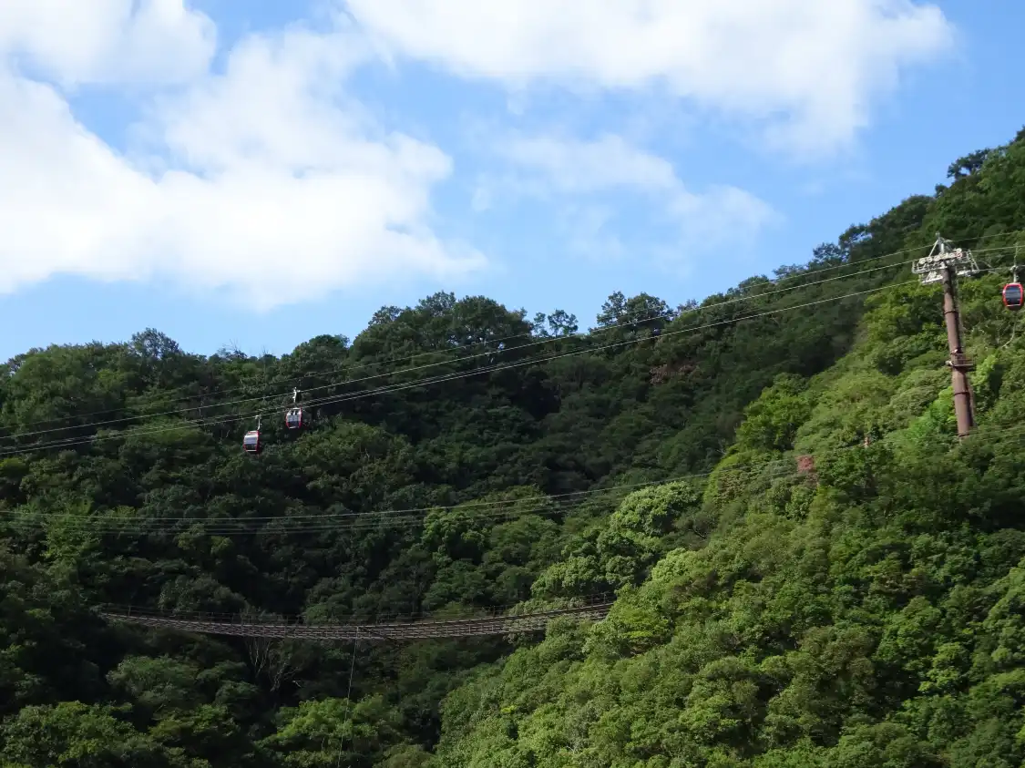 Hotel in zona Monkey Kazura Bridge
