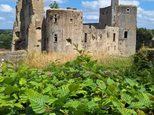Clisson Castle