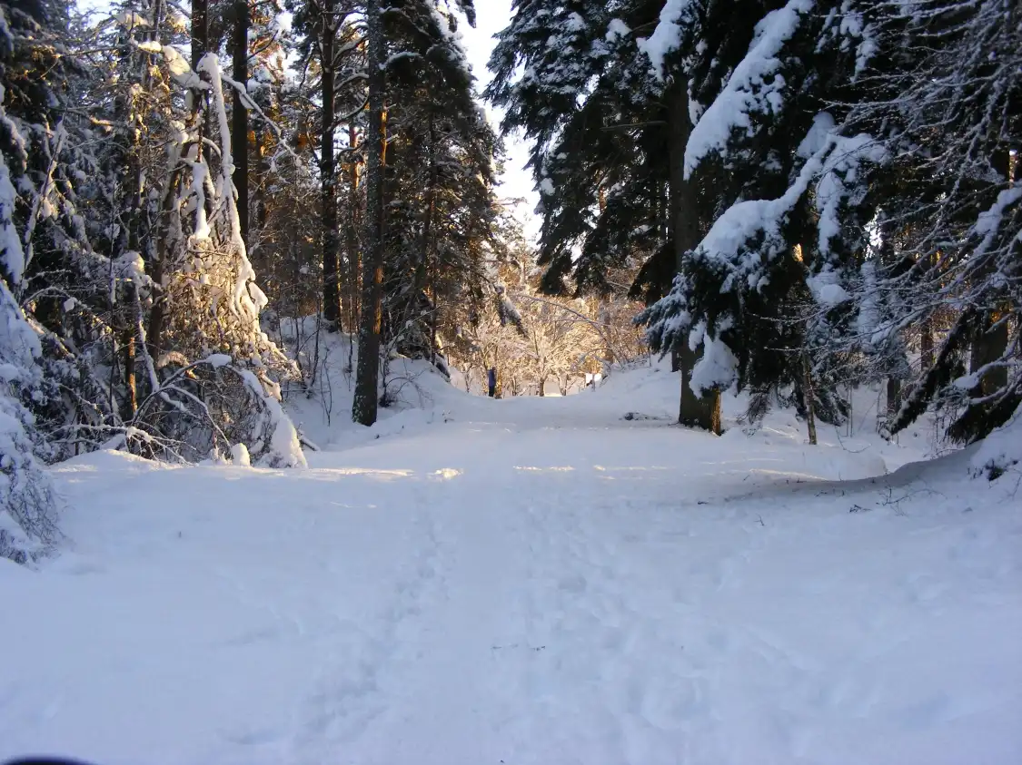 Hotels near Anagach Wood